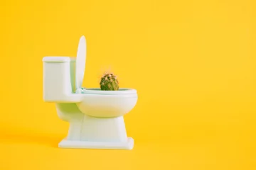 Fototapeten Sharp cactus in miniature toilet pot on yellow background copy space © Natasha