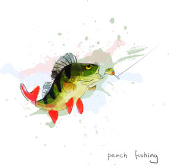 vector illustration of a perch fishing