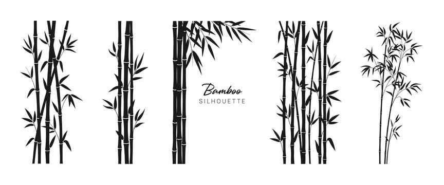 Set of bamboo silhouette on white background. Black bamboo stems, branches and leaves. Vector illustration.