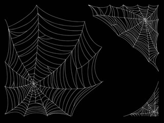 Beautiful spider web. Halloween decor. Decoration for the holiday. Vector illustration isolated on background.
