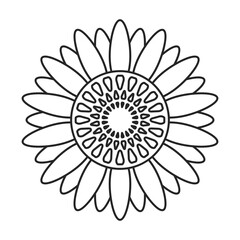 Sunflower vector outline icon. Vector illustration san flower on white background. Isolated outline illustration icon of sunflower.