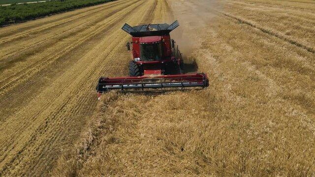 drone shot over Combine working on wheat fields during harvesting. Combine harvester at work harvesting field wheat. Agriculture in European Union from above