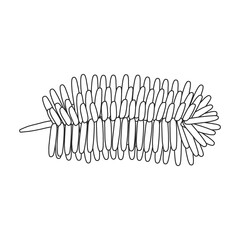 Pine cone vector outline icon. Vector illustration pinecone on white background. Isolated outline illustration icon of cone fir.