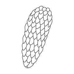 Pine cone vector outline icon. Vector illustration pinecone on white background. Isolated outline illustration icon of cone fir.