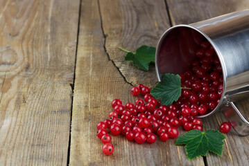 Red currant in a metall mug on wooden background