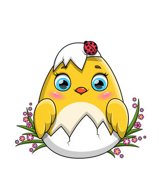 Easter egg concept. Cute little yellow Easter chicken hatching from an egg framed by dainty pink spring flowers, colored flat cartoon vector illustration isolated on white for use as a design element