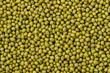 緑豆、八重生、文豆、ムング豆