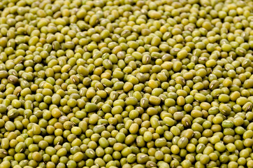 緑豆、八重生、文豆、ムング豆