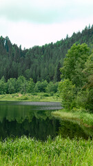 Sankenbachsee im Schwarzwald