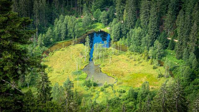 Ellbachsee III