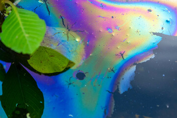 Natural Oil Deposits on the Surface of a Lake
