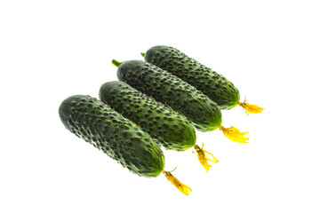 cucumber
