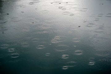 Rain drops falling the surface on river making circles on the water. Picture suitable as a background.