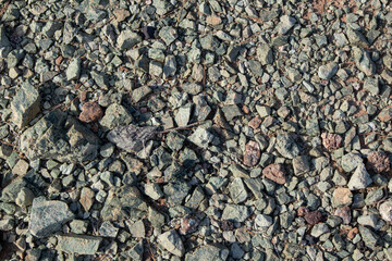 Mountains sharp small shredded rocks close-up texture. Various rocky surface pattern