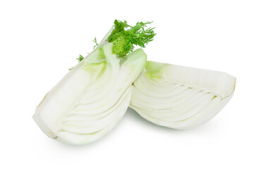 fresh fennel bulb piece isolated on white background with clipping path and full depth of field