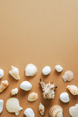 Seashells frame border on sand colored background. Flat lay, top view, vertical composition.