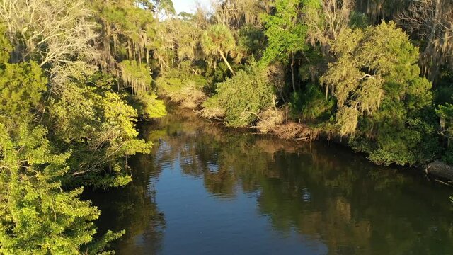 Pull-back ascending aerial of a small Florida cove with brackish water surrounded by Spanish moss covered live oak trees and palm trees. Spruce Creek Basin, Doris Leeper Preserve, New Smyrna Beach, FL
