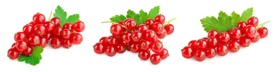 Red currant berries with leaf isolated on white background. Set or collection