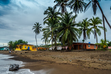 beach with palms