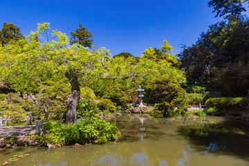 Fototapeta na wymiar Sunny view of the Japanese Tea Garden in Golden Gate Park