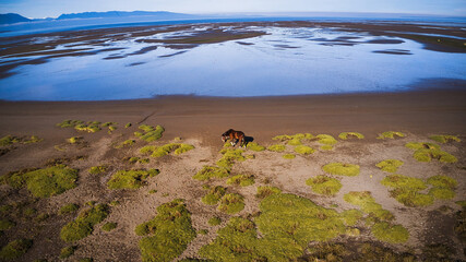 Corrales de pesca carretera austral de Chile