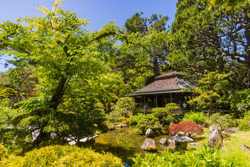 Sunny view of the Japanese Tea Garden in Golden Gate Park