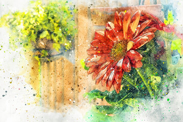 This photograph of a red gerbera daisy in a backyard garden was digitally enhanced to create an artistic impression of the subject. - obrazy, fototapety, plakaty