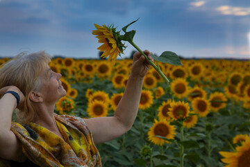 elderly beautiful woman in a field of sunflowers laughs and enjoys life