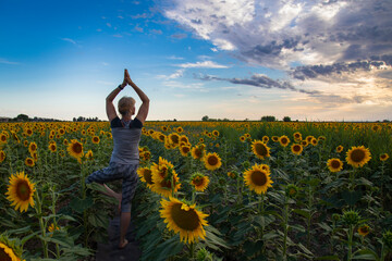 An elderly beautiful woman is engaged in yoga figures on the background of a field of sunflower