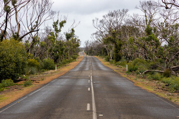 Fototapeta na wymiar South Coastroad on Kangaroo Island South Australia on may 10th 2021