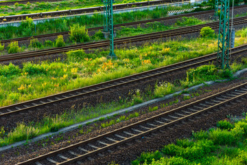 railroad track in a detailed view
