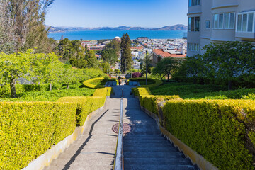 Fototapeta premium Sunny high angle view of some residence building from Lyon Street Steps