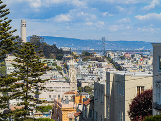 Sunny view of the Coit Tower and cityscape