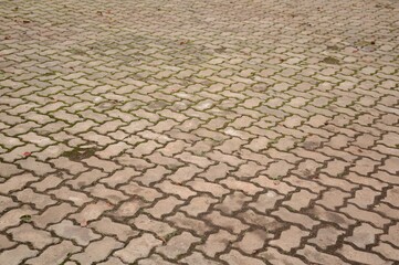 close up old cement brick floor texture in garden