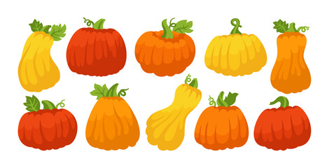 Pumpkin flat cartoon set. Autumn various ripe whole pumpkins. Halloween or Thanksgiving Day festival symbol harvest collection. Agricultural hand drawn colorful vegetable icon orange red vector