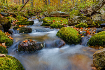 Fototapeta na wymiar Sikhote-Alin Biosphere Reserve. Shutter speed shooting. A crystal clear stream flows over pebbles in an autumn forest. Reserved river.