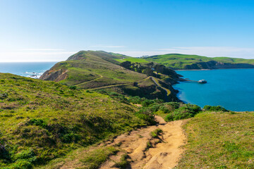 Unpaved hiking trail on Point Reyes Headlands with winter green grass covering cliffs and bluffs at...