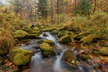 Naklejka na ściany i meble Sikhote-Alin Biosphere Reserve. Shutter speed shooting. A crystal clear stream flows over pebbles in an autumn forest. Reserved river.