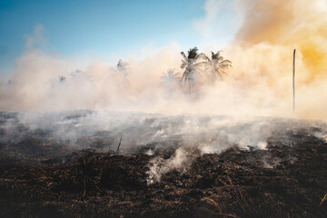 Burning dry grass