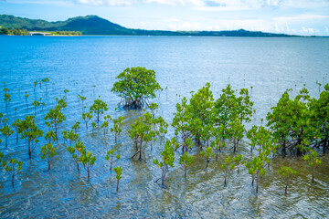 沖縄県石垣島の風景 Ishigaki Okinawa