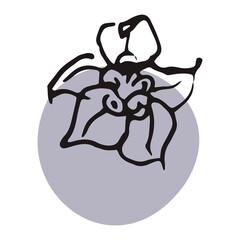 The plant is drawn by hand with a pen and translated into vector format. In the background there is an abstract colored spot. Stock vector illustration. For garment decoration, packaging, interior