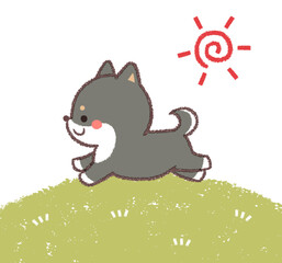 走る黒柴犬と芝生と太陽