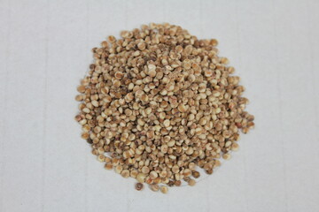 흰색 배경 위의 곡식