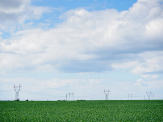 Fototapeta na wymiar Power lines stand in a green field against the sky. Minimalistic natural landscape, background. Supports and trusses of power lines