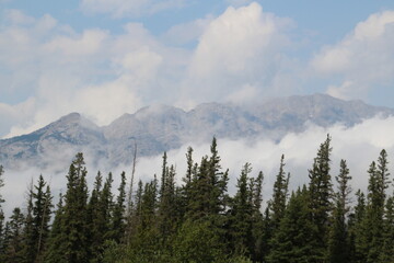 Low Clouds On The Ridge, Jasper National Park, Alberta