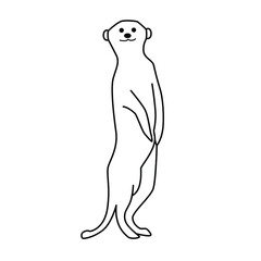 Meerkat line drawing vector isolated background