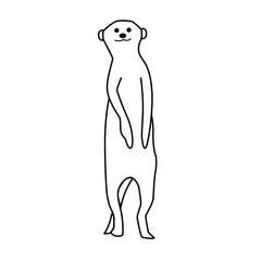 Meerkat line drawing vector isolated background