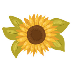 Sunflower desigh element for greeting cards,banners.