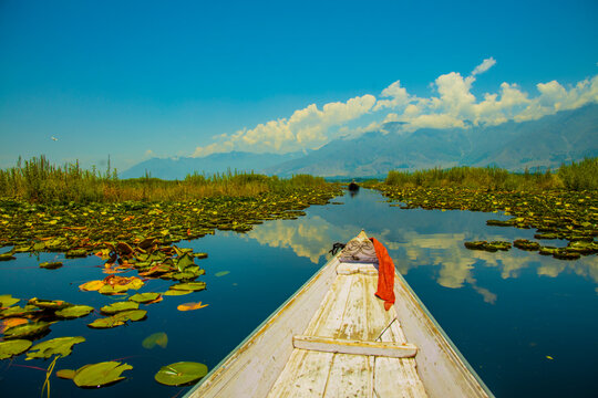 Dal Lake, Kashmir, INDIA - June 2021: Beautiful Sightseeing over Dal Lake using a Shikara - a type of wooden boat.