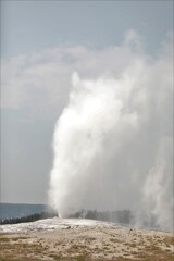 Old Faithful Geyser Erupting in Yellowstone National Park